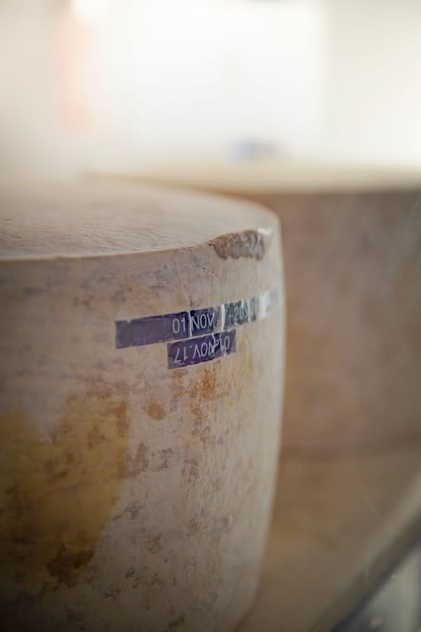 a round of artisanal cheese, branded