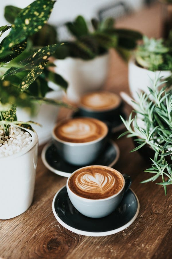 cups of coffee among plants